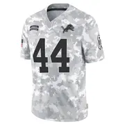 Arctic Camo Men's Malcolm Rodriguez Detroit Lions Limited 2024 Salute to Service Jersey