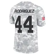 Arctic Camo Men's Malcolm Rodriguez Detroit Lions Limited 2024 Salute to Service Jersey