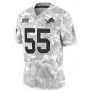 Arctic Camo Youth Derrick Barnes Detroit Lions Limited 2024 Salute to Service Jersey