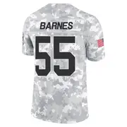 Arctic Camo Youth Derrick Barnes Detroit Lions Limited 2024 Salute to Service Jersey