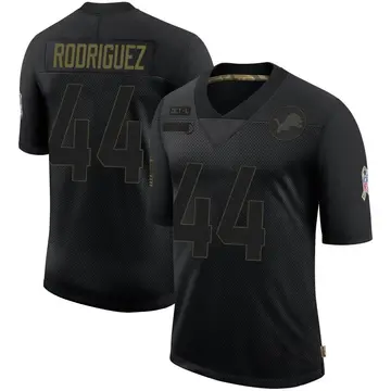 Black Men's Malcolm Rodriguez Detroit Lions Limited 2020 Salute To Service Jersey