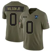 Olive Men's Cedrick Wilson Jr. Detroit Lions Limited 2025 Salute to Service Jersey