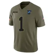 Olive Men's Jameson Williams Detroit Lions Limited 2025 Salute to Service Jersey