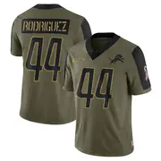 Olive Men's Malcolm Rodriguez Detroit Lions Limited 2021 Salute To Service Jersey