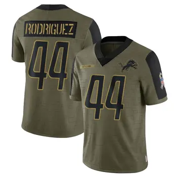 Olive Men's Malcolm Rodriguez Detroit Lions Limited 2021 Salute To Service Jersey